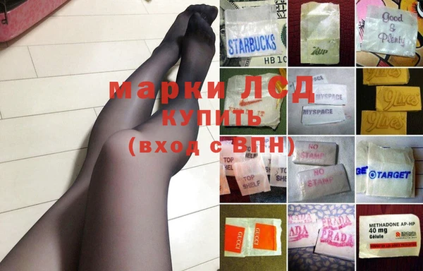 крисы Алзамай
