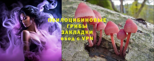 крисы Алзамай