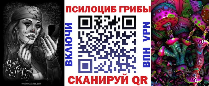 Псилоцибиновые грибы Cubensis  Козловка 